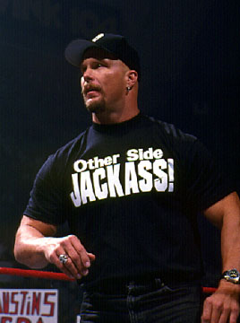 steve austin